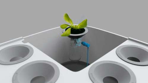 2020年設(shè)計(jì)流行話題 人與自然的教學(xué)用模型及教具制造