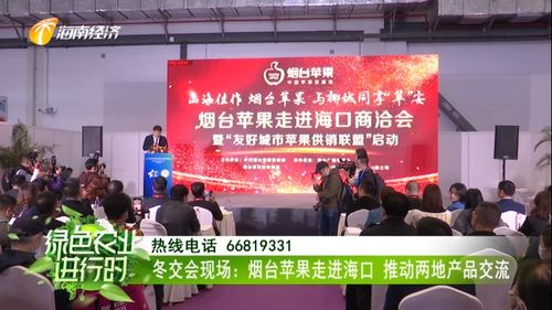 煙臺(tái)蘋(píng)果香飄海口 冬交盛會(huì)架起南北交流新橋梁